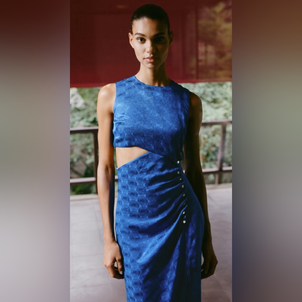 Zara Midi Dress - Picture 2 of 6